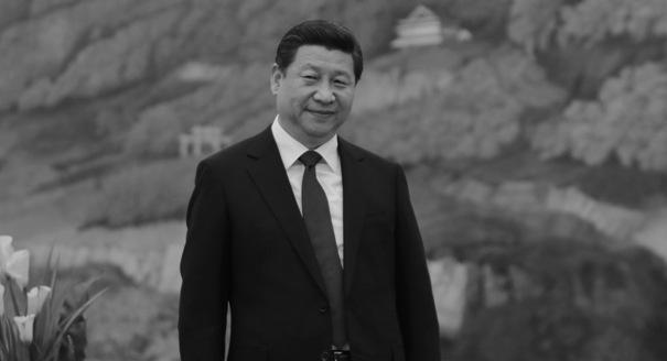 Xi Jinping: Strong Leader, Weak Institutions