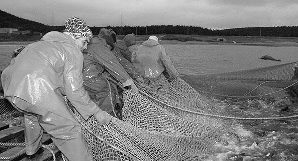 Рабство мечты. Зачем Госдеп борется с северокорейскими лагерями в России